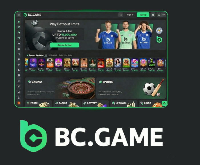 Current BC.Game Mirror Links Your Gateway to Endless Gaming